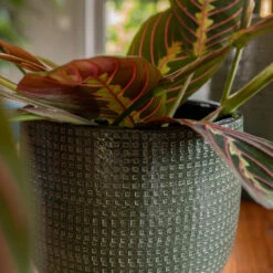 Lykke Plant Pot - Sage -Hortology Shop Lykke Sage 3