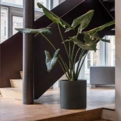 Max Refined Planter - Pine Green -Hortology Shop Max Refined Planter Pine Green 1