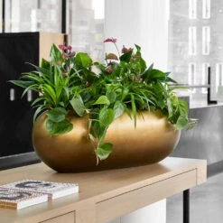 Metallic Boat Planter - Matt Honey -Hortology Shop Metallic Boat Planter Matt Honey 1