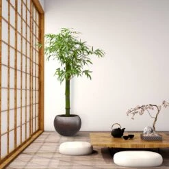 Metallic Globe Plant Pot - Matt Coffee -Hortology Shop Metallic Couple Plant Pot Matt Coffee LS1