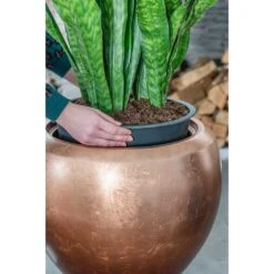 Metallic Couple Plant Pot - Matt Copper -Hortology Shop Metallic Couple Plant Pot Matt Copper Sansevieria Lifestyle Close