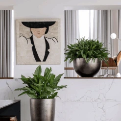 Metallic Plant Bowl - Matt Coffee -Hortology Shop MetallicPlantBowl MattCoffee 45x27cmPlantPotSizeCheck HortologyMetallicPlantBowl MattCoffee 1