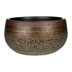 Mya Plant Bowl - Deep Champagne -Hortology Shop Mya Plant Bowl Deep Champagne Medium