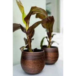 Mya Plant Pot - Shiny Mocha 26 Mya Plant Pot - Shiny Mocha -Hortology Shop Mya Plant Pot Shiny Mocha Houseplants