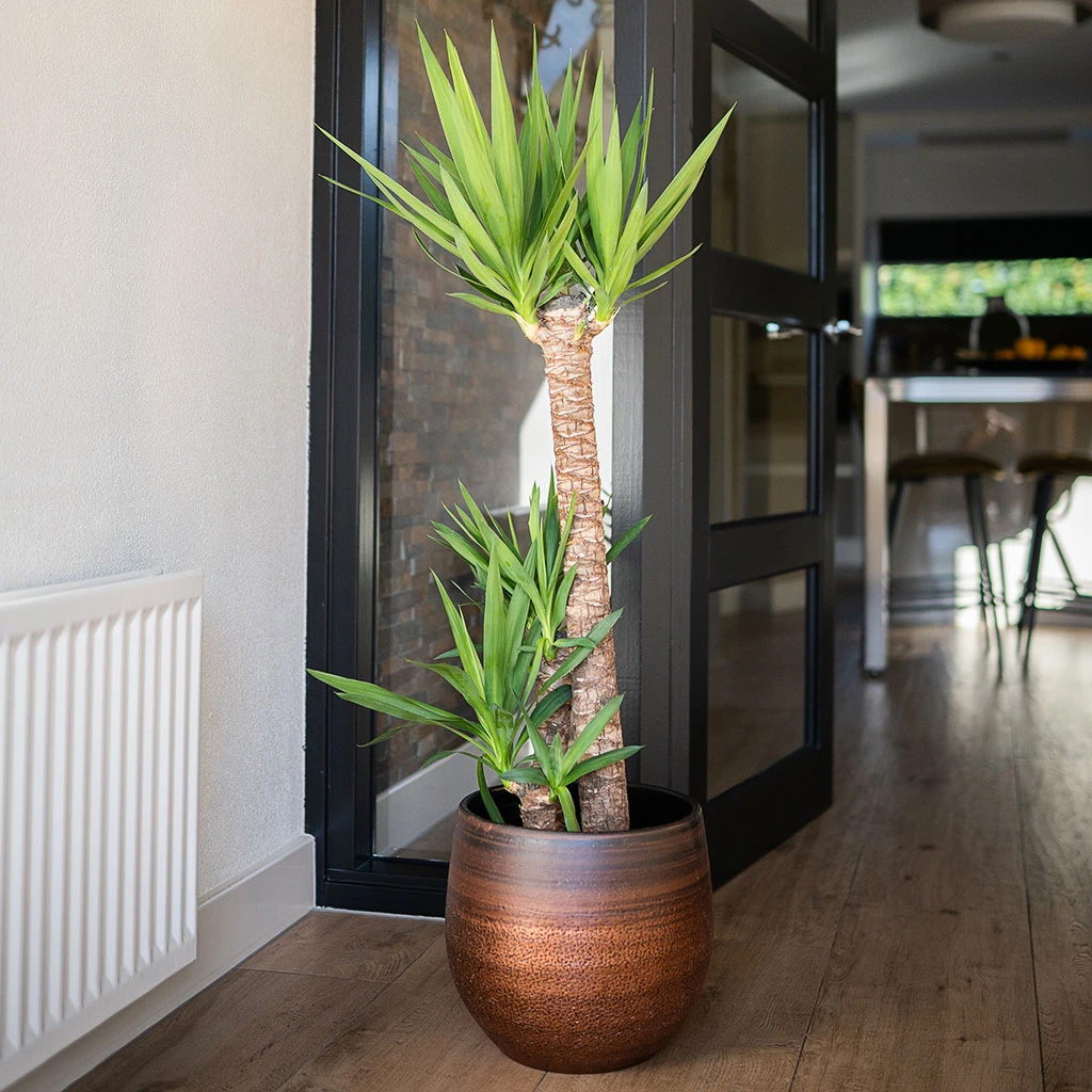 Mya Plant Pot - Shiny Mocha 2 Mya Plant Pot - Shiny Mocha - Image 2