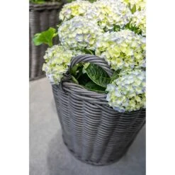 Nanna Wikr Plant Basket - Dark Brown -Hortology Shop Nanna Wicker Plant Basket Dark Brown Outdoor Plants