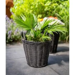 Nanna Wikr Plant Basket - Dark Brown -Hortology Shop Nanna Wicker Plant Basket Dark Brown Palm Tree
