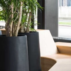 Nax Natural Tall Planter - Black 11 Nax Natural Tall Planter - Black -Hortology Shop Nax Natural Planter Black Office Planters Close Up