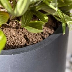 Nax Natural Tall Planter - Black 13 Nax Natural Tall Planter - Black -Hortology Shop Nax Natural Tall Planter Black 2