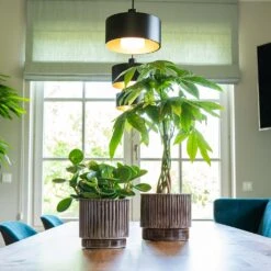 Nella Plant Pot - Coffee -Hortology Shop Nella Coffee 2