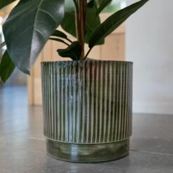 Nella Plant Pot - Forest -Hortology Shop Nella Forest 6