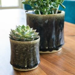 Nolan Plant Pot - Pine -Hortology Shop Nolan Pine 2
