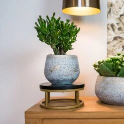 Noor Plant Pot - Metallic Grey -Hortology Shop Noor Plant Pot Metallic Grey 6