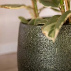 Noor Plant Pot - Velvet Green -Hortology Shop Noor Plant Pot Velvet Green 3