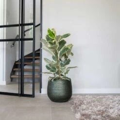 Noor Plant Pot - Velvet Green -Hortology Shop Noor Plant Pot Velvet Green 4