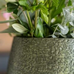 Noor Plant Vase - Velvet Green -Hortology Shop Noor Plant Pot Velvet Green 5 c5477a95 00c2 40e5 97f9 53e78b6bc95c