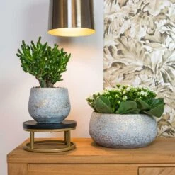 Noor Plant Bowl - Metallic Grey -Hortology Shop Noor metalic grey 01