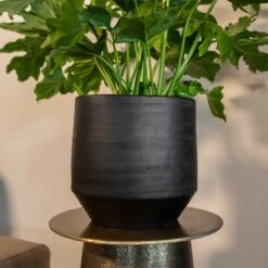 Norell Plant Pot - Black -Hortology Shop Norell black 03