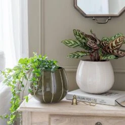 Nova Plant Pot - Green -Hortology Shop Nova Plant Pot Cream 23 x 18cm 11781764 6d1a 4491 88d6 b6d75afe7217