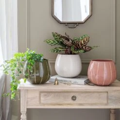 Nova Plant Pot - Cream -Hortology Shop Nova Plant Pot Rose 23 x 18cm 2