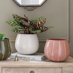 Nova Plant Pot - Rose 8 Nova Plant Pot - Rose -Hortology Shop Nova Plant Pot Rose 23 x 18cm 6f69093b d56e 46c7 94b7 24c715c1effc