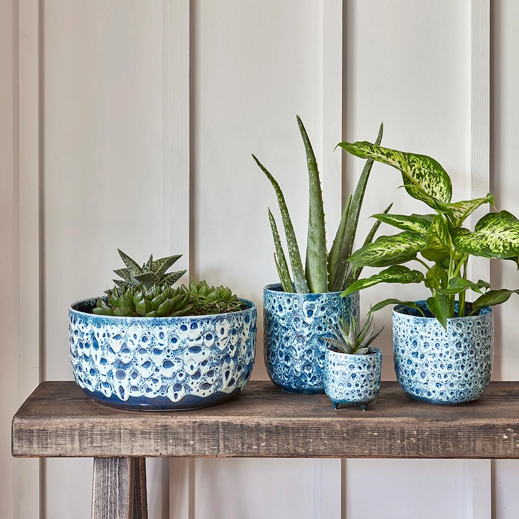 Ocean Glaze Plant Bowl - Sapphire 4 Ocean Glaze Plant Bowl - Sapphire - Image 4