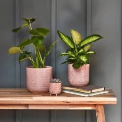 Ocean Glaze Plant Pot - Morganite -Hortology Shop Ocean Glaze Plant Pot Morganite 13 x 13cm