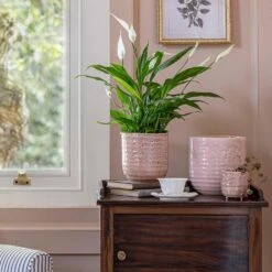 Ocean Glaze Plant Pot - Morganite -Hortology Shop Ocean Glaze Plant Pot Morganite 16 x 16cm