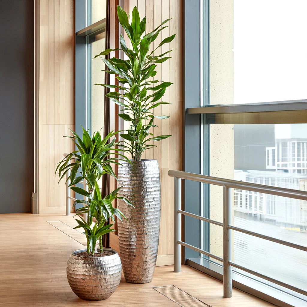 Opus Hammered Globe Planter - Silver 3 Opus Hammered Globe Planter - Silver - Image 3