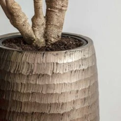 Opus Hammered Partner Planter - Gold -Hortology Shop Opus Hammered Partner Planter Gold 1