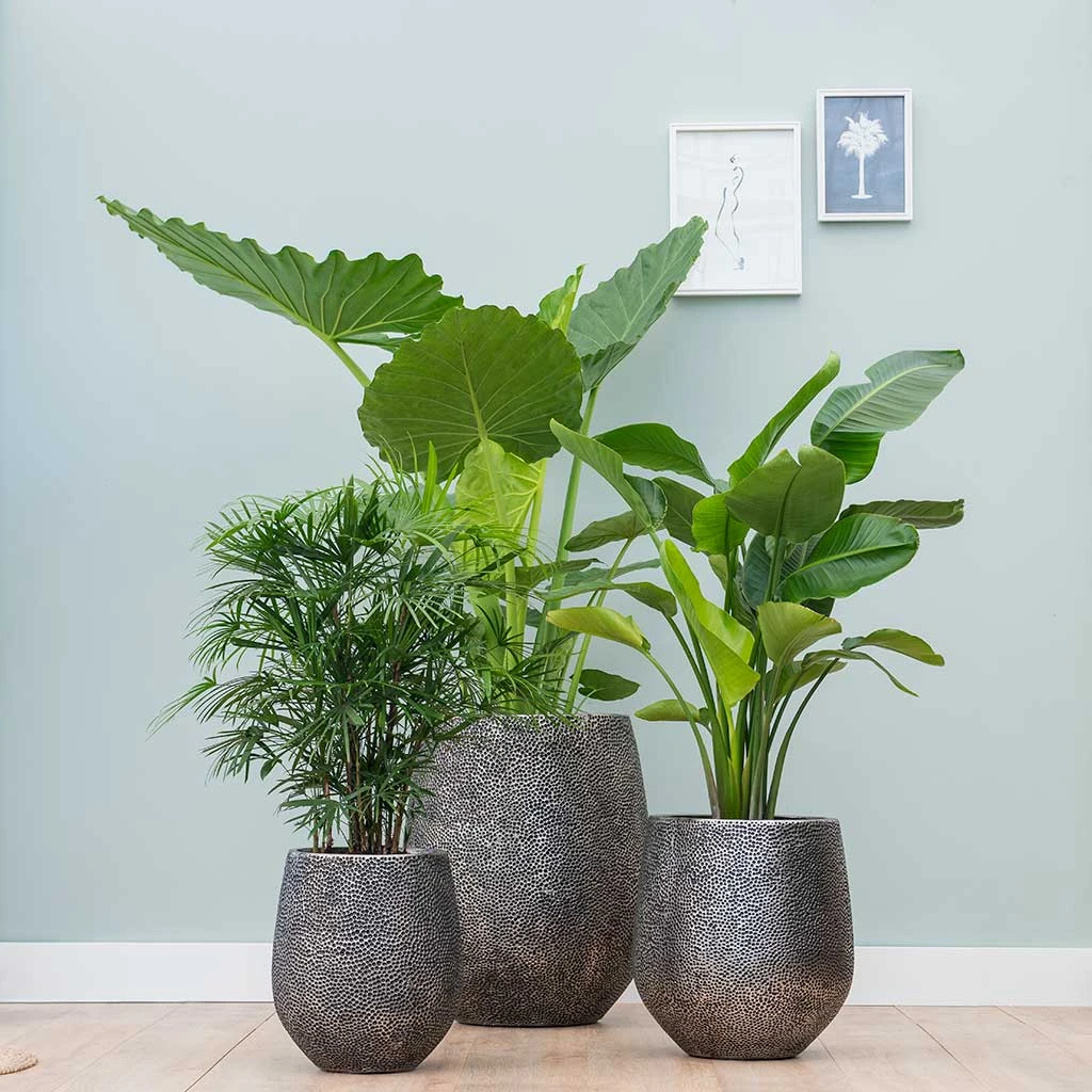 Opus Hit Darcy Planter - Silver 2 Opus Hit Darcy Planter - Silver - Image 2