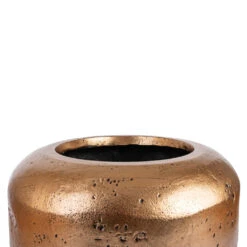Opus Raw Couple Planter - Gold -Hortology Shop Opus Raw Couple Planter Gold SWATCH 3