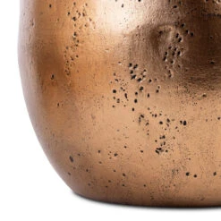 Opus Raw Couple Planter - Gold -Hortology Shop Opus Raw Couple Planter Gold SWATCH 5
