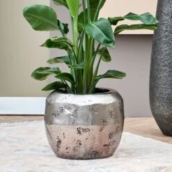 Opus Raw Couple Planter - Silver -Hortology Shop Opus Raw Couple Planter Silver