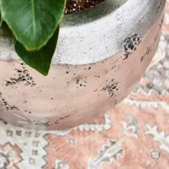 Opus Raw Couple Planter - Silver -Hortology Shop Opus Raw Hit Silver 2