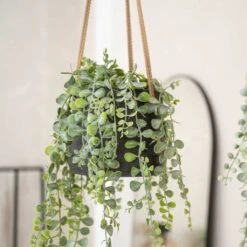 Patt Hanging Plant Pot - Black Washed -Hortology Shop Patt Hanging Plant Pot Black Washed Trailing Houseplant