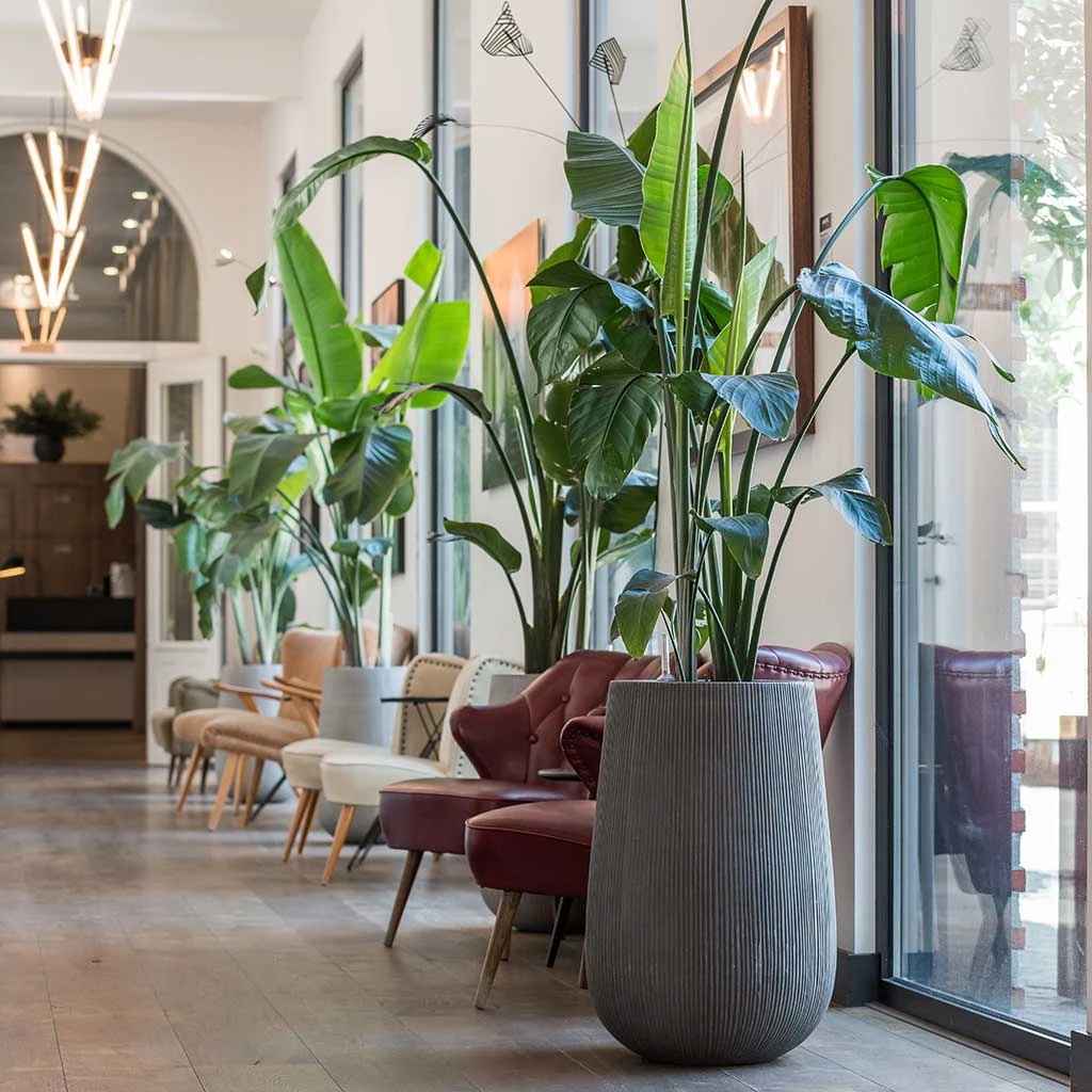 Patt High Plant Vase - Ridged Dark Grey 3 Patt High Plant Vase - Ridged Dark Grey - Image 3