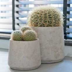 Patt Plant Pot - Grey Washed -Hortology Shop Patt Plant Pot Grey Washed Cacti
