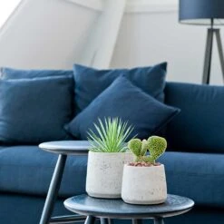 Patt Plant Pot - Grey Washed -Hortology Shop Patt Plant Pot Grey Washed Houseplants