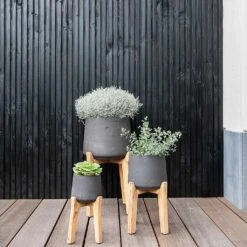 Patt Plant Pot - Tall Stand - Black Washed -Hortology Shop Patt Plant Pot Tall Stand Black Washed Lifestyle 01