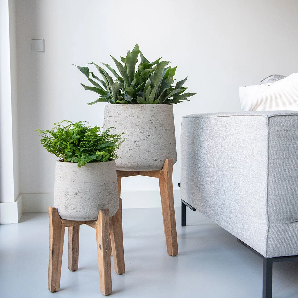 Patt Plant Pot - Tall Stand - Grey Washed 2 Patt Plant Pot - Tall Stand - Grey Washed - Image 2