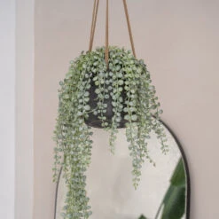 Patt Hanging Plant Pot - Black Washed -Hortology Shop PattHangingPlantPot BlackWashed 3