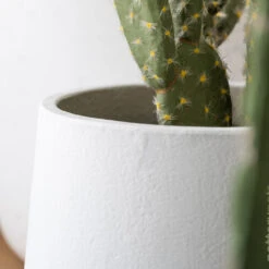 Patt Plant Pot - White Washed -Hortology Shop PattPlantPot WhiteWashed 2