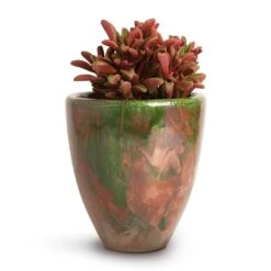 Peperomia Graveolens - Ruby Glow Radiator Plant 17 Peperomia Graveolens - Ruby Glow Radiator Plant -Hortology Shop Peperomia graveolens Ruby Glow Radiator Plant 10.5x17cm Livin Beauty Flowerpot Copper Green Matt Smooth 15x17cm