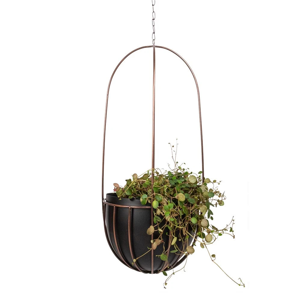 Kensington Tall Hanging Plant Pot - Copper 2 Kensington Tall Hanging Plant Pot - Copper - Image 2