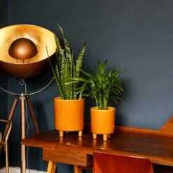 Pisa Plant Pot - Mustard -Hortology Shop Pisa Plant Pot Mustard 20 x 24cm