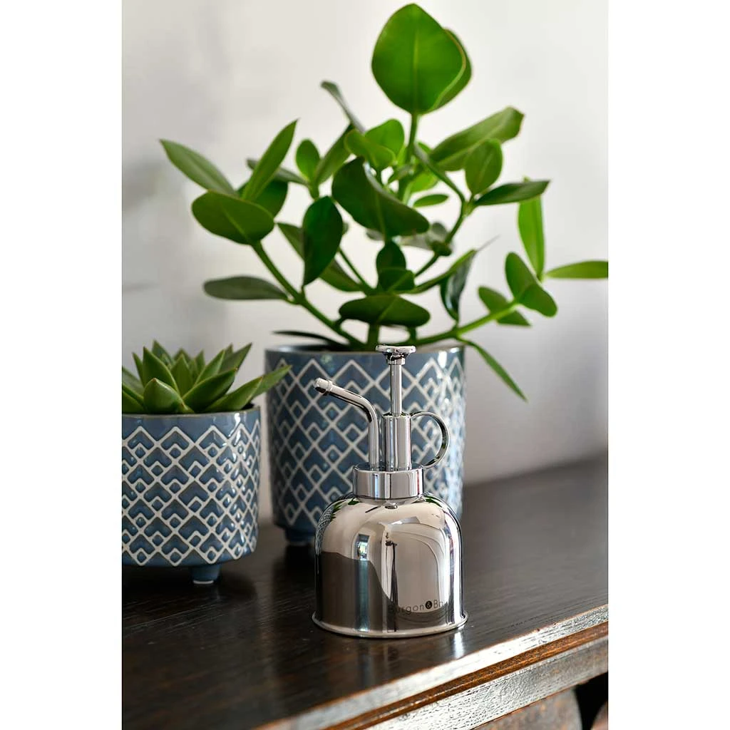 Indoor Plant Mister - Stainless Steel 4 Indoor Plant Mister - Stainless Steel - Image 4