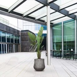 Polystone Coated Darcy Planter - Raw Grey -Hortology Shop Polystone Coated Darcy Planter Raw Grey LS1