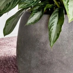 Polystone Coated Plain Balloon Planter - Raw Grey -Hortology Shop Polystone Coated Plain Balloon Planter Raw Grey Lifestyle Close
