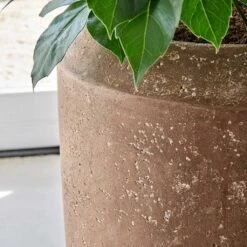 Polystone Coated Plain Coppa Planter - Rock -Hortology Shop Polystone Coated Plain Coppa Planter Rock 1